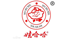 娃哈哈-渦街流量計